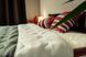 Ковдра Family Sleep Soft FS-00000930 фото 4