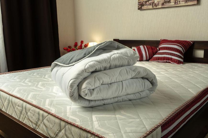 Ковдра Family Sleep Soft FS-00000930 фото