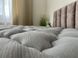 Ортопедический матрас Family Sleep Dionis Mythology FS-00034611 фото 3